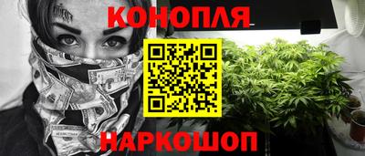 СК Будённовск