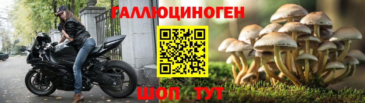 Псилоцибиновые грибы MAGIC MUSHROOMS  Вход с VPN  Партизанск 