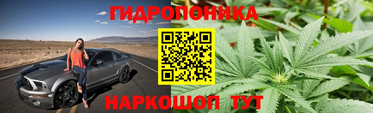 Партизанск  Конопля конопля  Шишки марихуана Ganja  Вход с VPN  Шишки марихуана план 